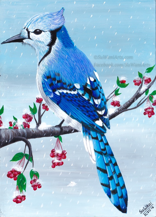 blue-bird-in-snow_20